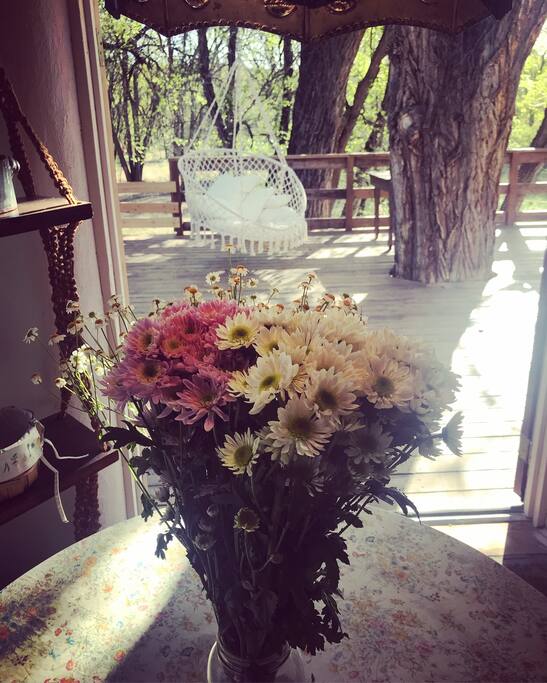 View from dining table