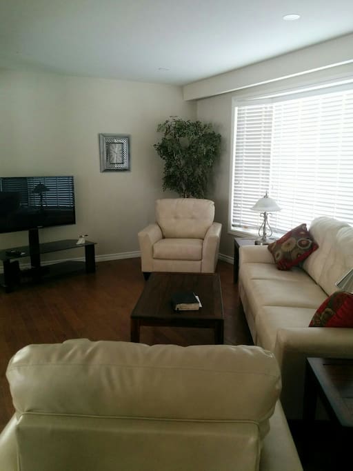 Flat screen TV, wifi, high speed internet