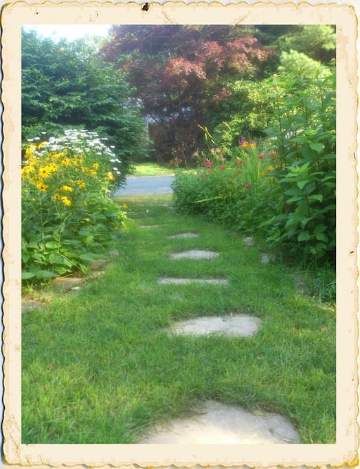 Your vacation home is located on the side of Dancing Brook, in the heart of Cape Cod, surrounded by flowers, ferns, bushes and mature trees, only 300' or so to the bike path that connects to the Cape Cod Rail Trail to Wellfleet and Chatham. West Dennis, Seagull and Smuggler's Beaches are a short distance away, as are five local golf courses, deep sea fishing, whale watches, kayaking, hiking and super mini-golf courses!