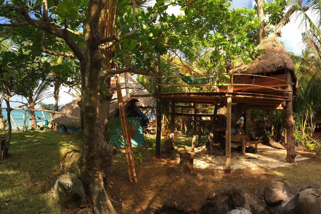 Your tree house