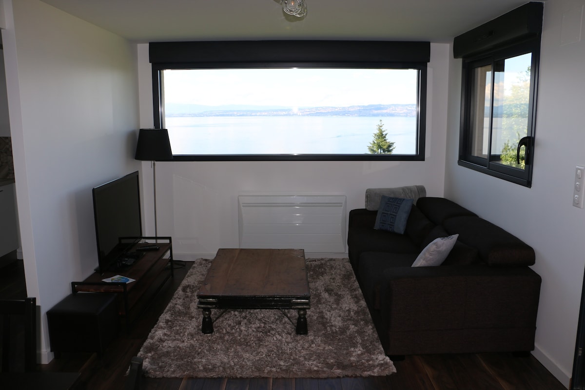 Woonkamer met slaapbank