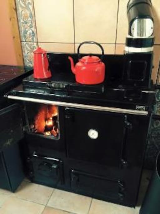 Multi-fuel Stove in Kitchen