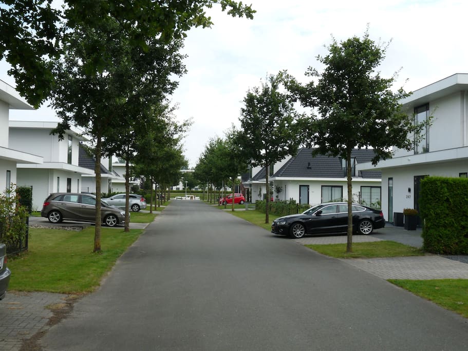 die Straße