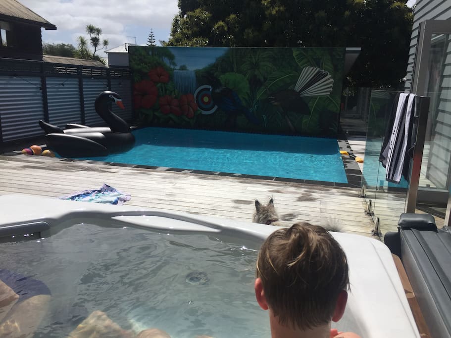 Spa and pool