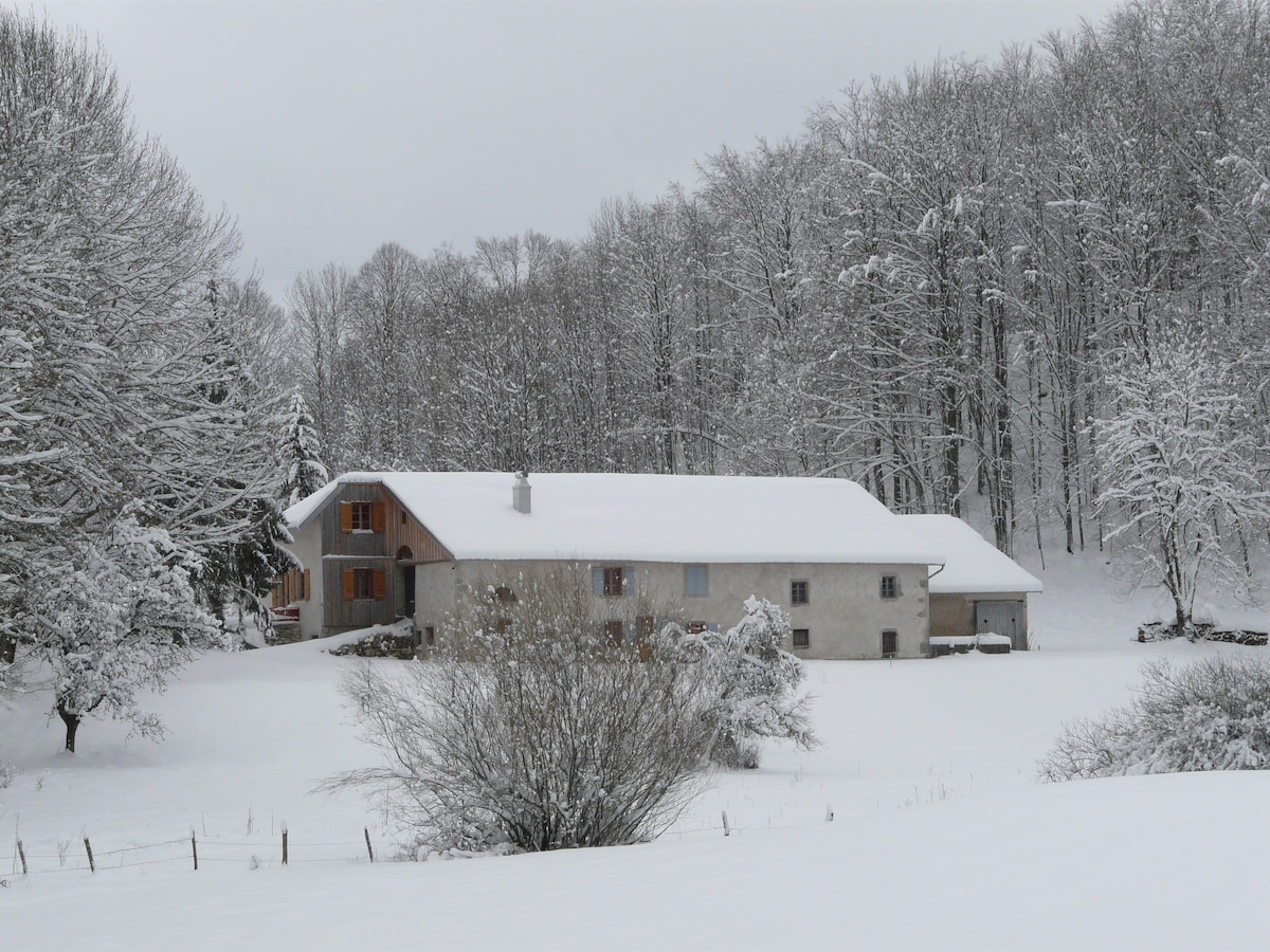 A family home is set in a serene winter landscape, surrounded by snow-covered trees. The building features a combination of wooden and stone architecture. A blanket of snow covers the ground, enhancing the tranquil atmosphere of the area.