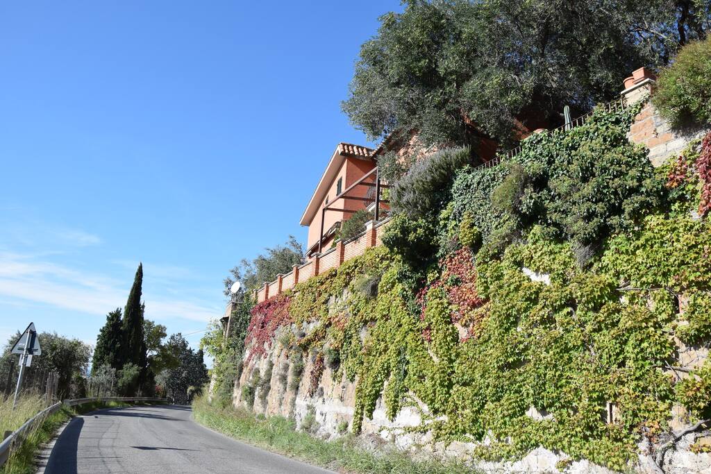 La strada provinciale che passa sotto la casa.