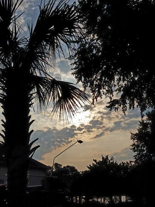 Neighborhood walks