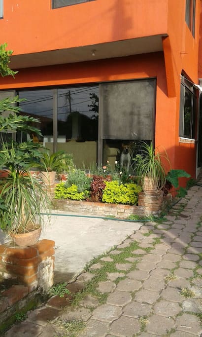 Jardín Frontal.