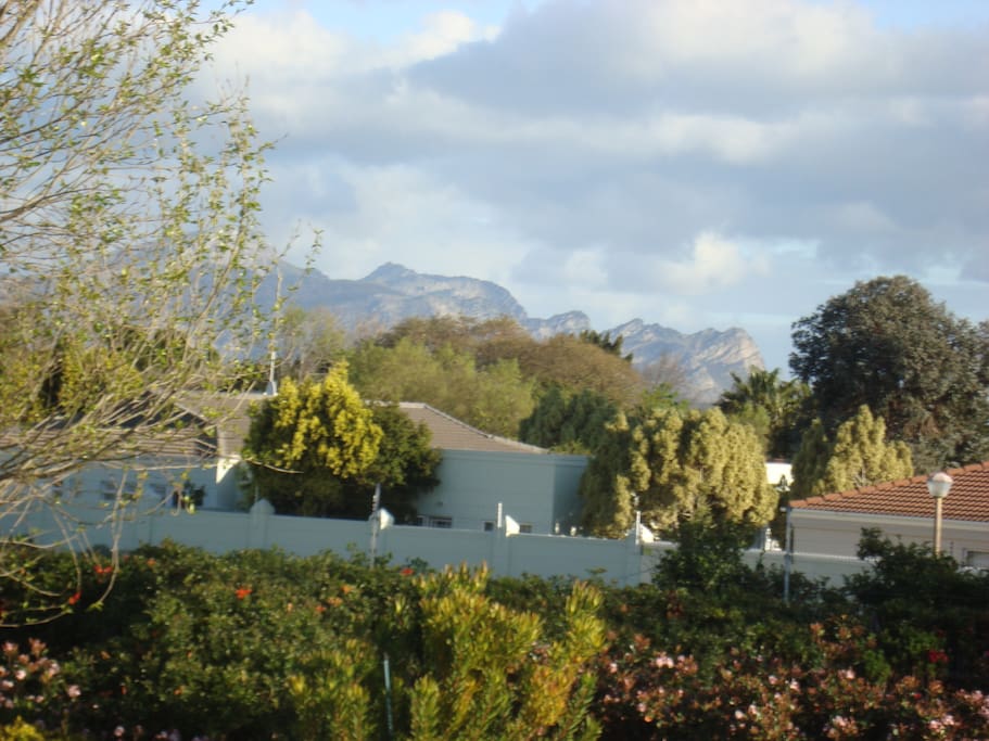 The vista from the kitchen window