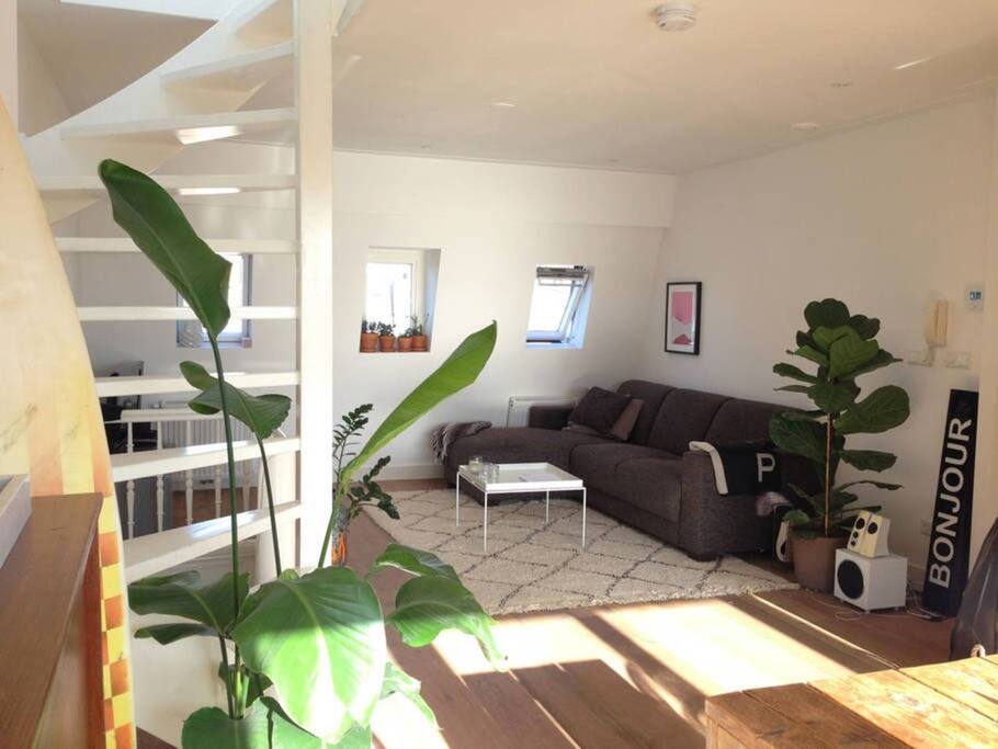 Overview of the living room.