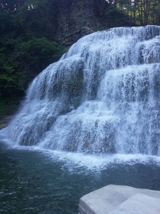 Robert H Treman State Park just 1 mile away