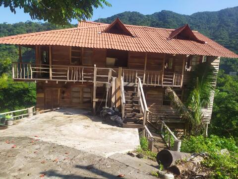 Las 7 Mulas y un Burro Cabezón (5)