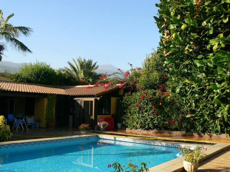 The Pool House - which has double bed, en-suite shower and separate toilet, access to fridge and cooking area BBQ etc. That is Mount Teide in the background. The entrance to the room opens up directly onto the pool area with spacious external seating under cover.
