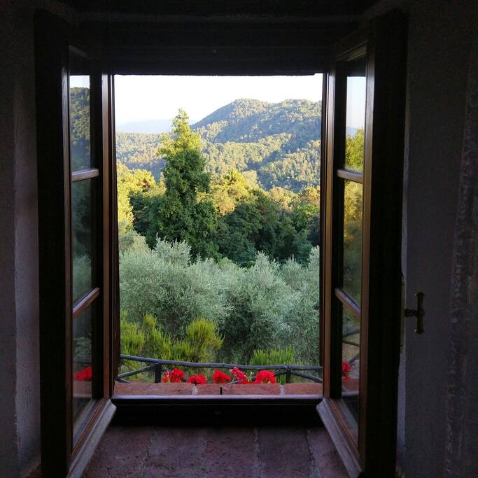 vista sala primo piano