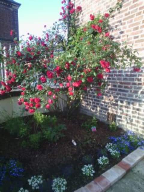 Chambre privée au coeur de Livarot