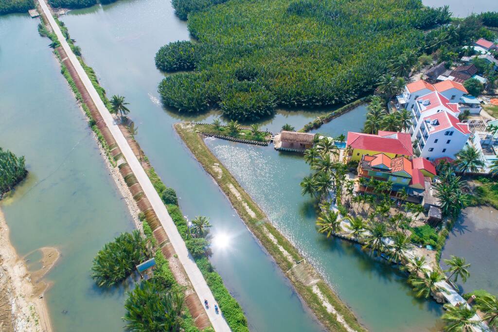 View Coconut Forest, Lakeside