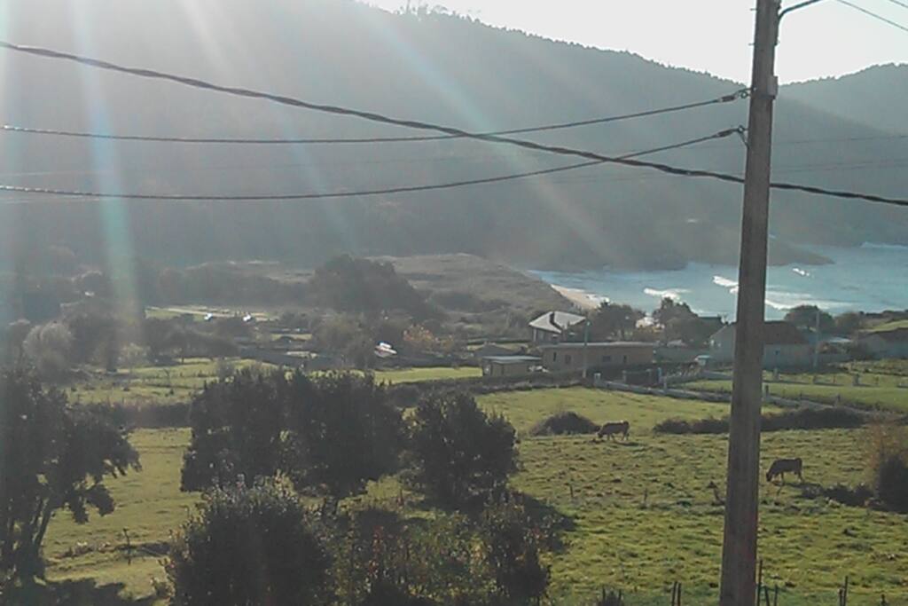 Las vistas desde la cocina
