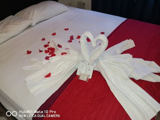 Trastevere royal apartment