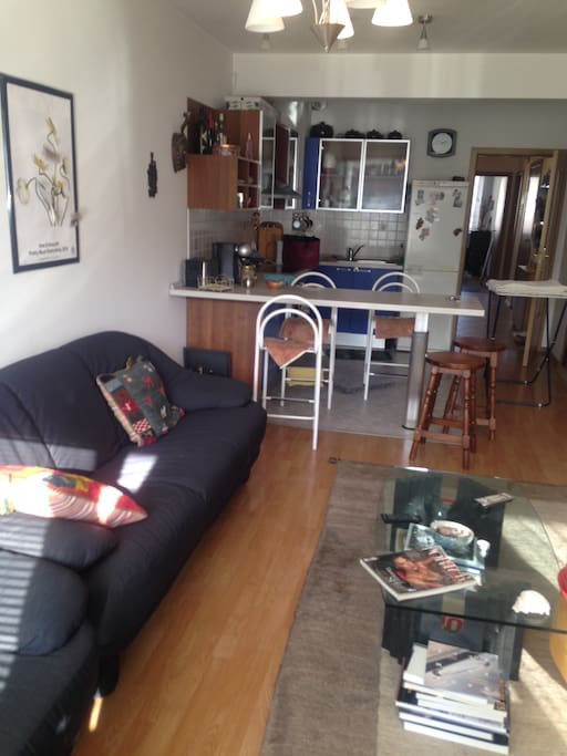 Living room and kitchen