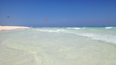 Magnificent Penthouse Aparment at Playacar