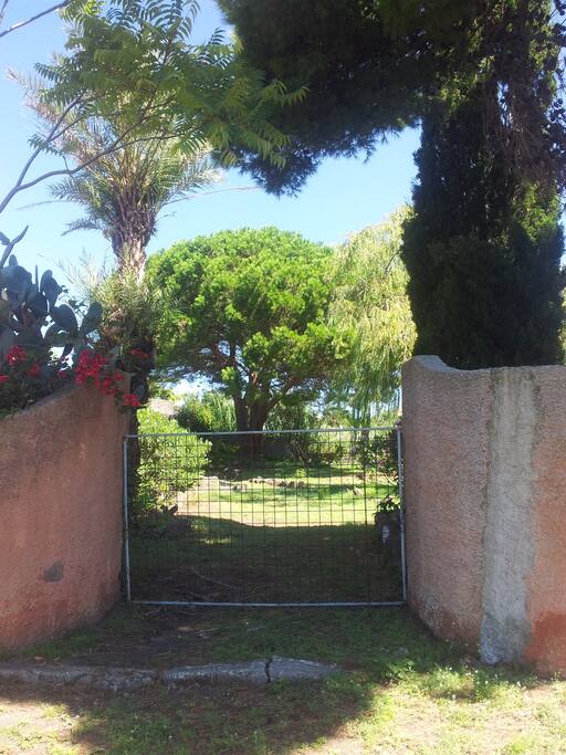 Ingresso