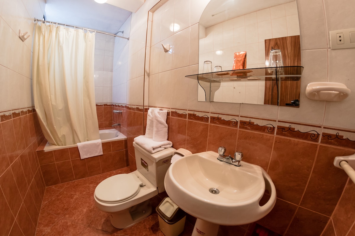A compact bathroom features a bathtub with a shower curtain and a white toilet. A glass shelf holds two drinking glasses, and neatly folded white towels are visible. The sink, with a chrome faucet, is complemented by terracotta tiles that create a warm ambiance.