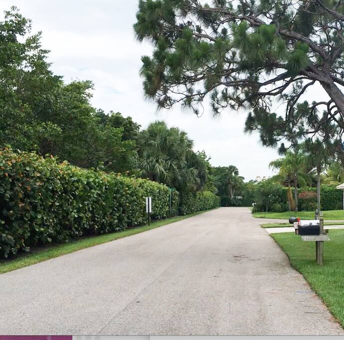 Quiet street in front of house