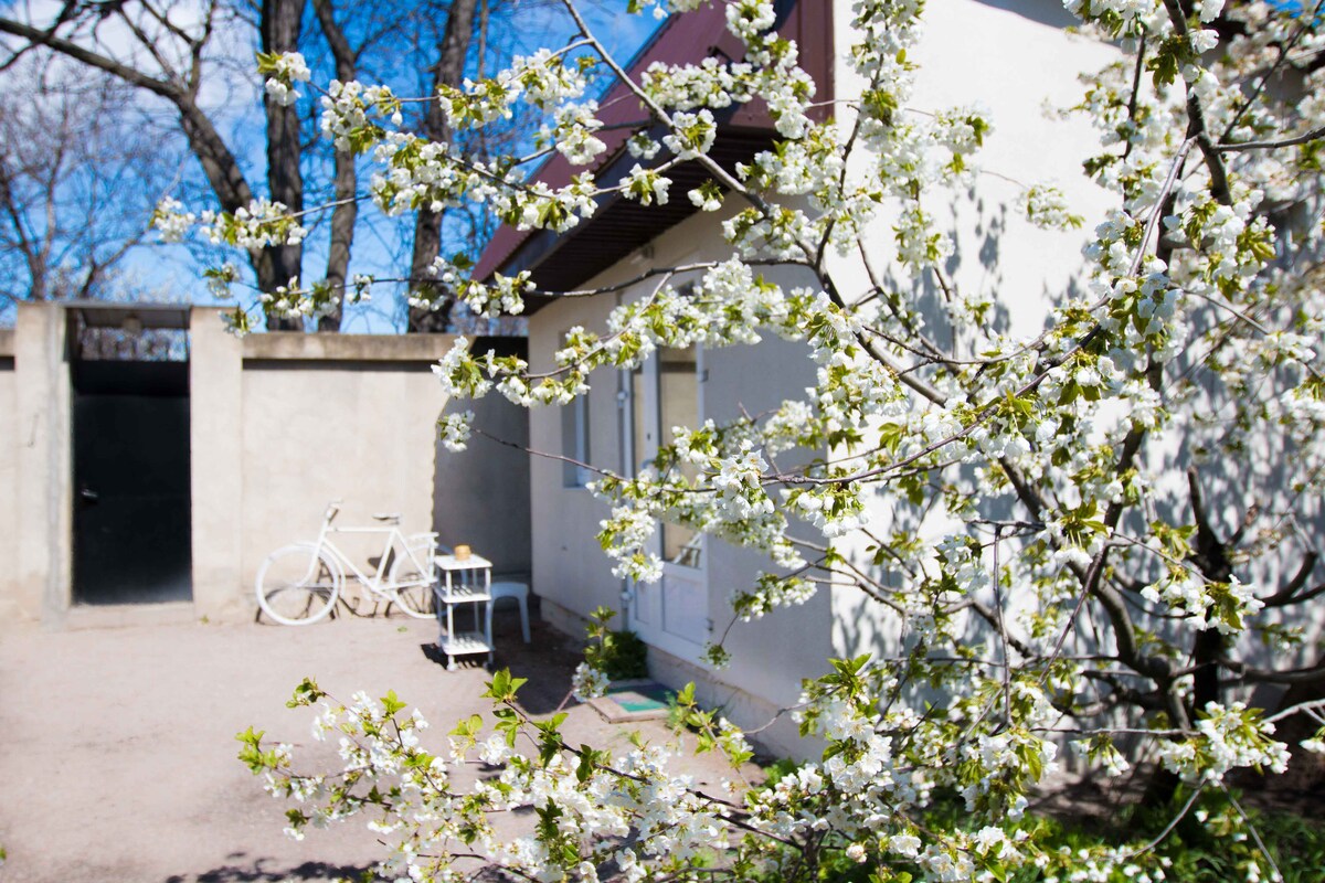 A flowering tree branches in the foreground, showcasing delicate white blossoms. In the background, a white bicycle leans against a wall, with a small table nearby. The exterior of the guesthouse is visible, featuring a door and large windows, bathed in natural light.