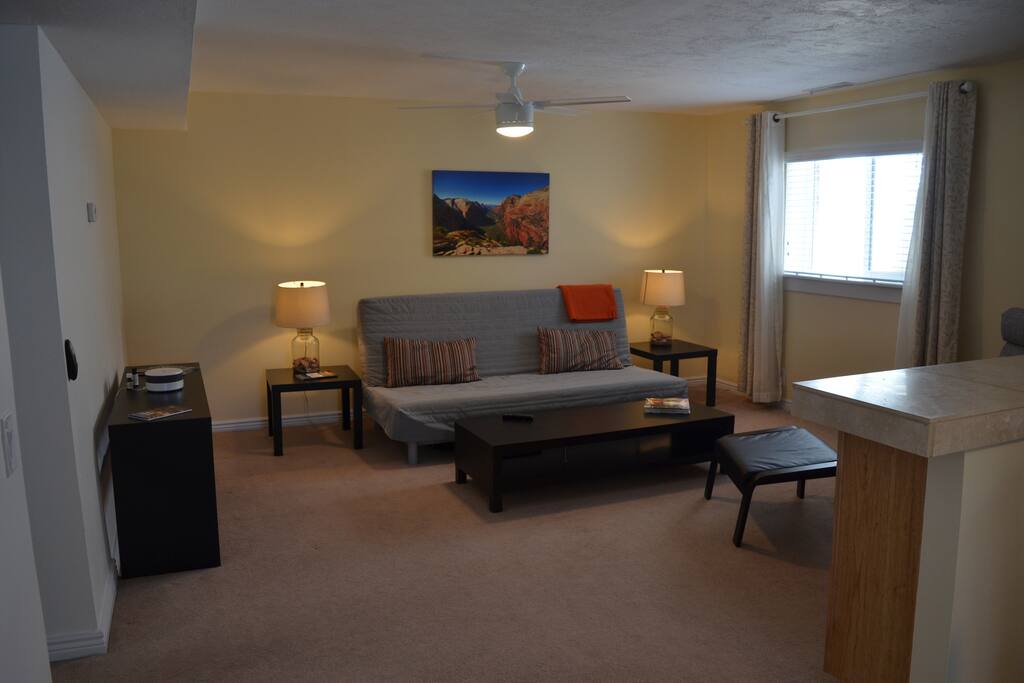 Large living room with sofa bed
