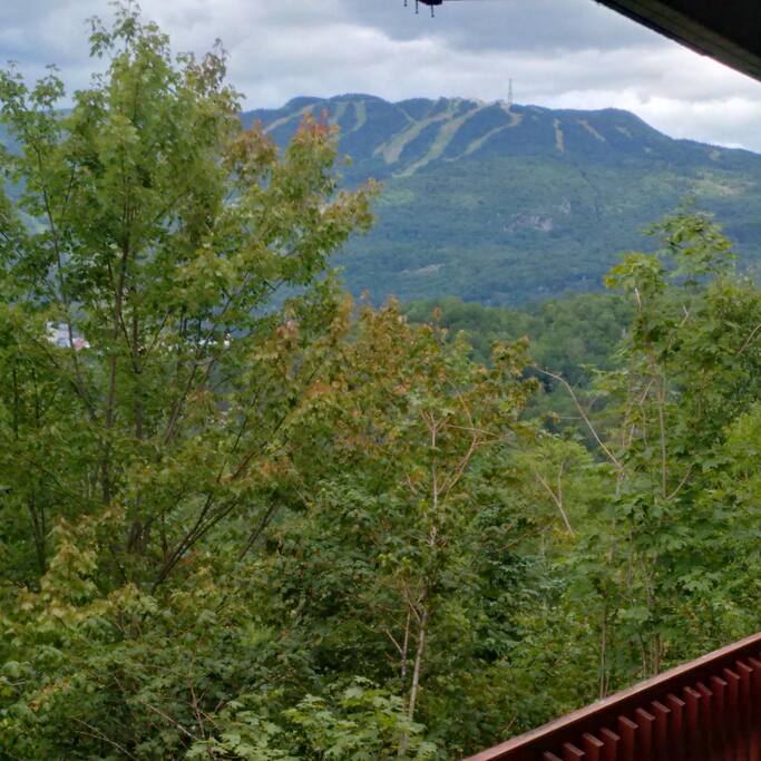 Vue sur les pistes.