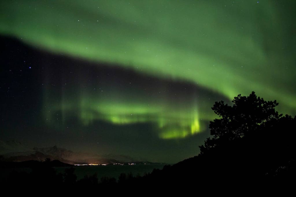 January night. Northern light picture taken from cabin terrace.