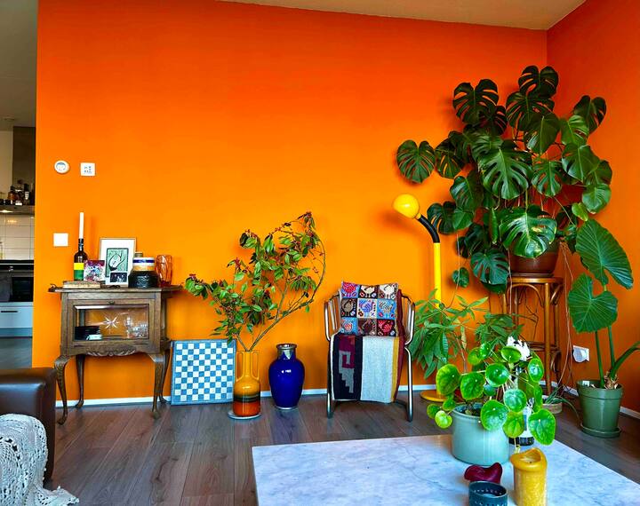 Ruime Woning Met Zonnig Balkon - Amsterdam