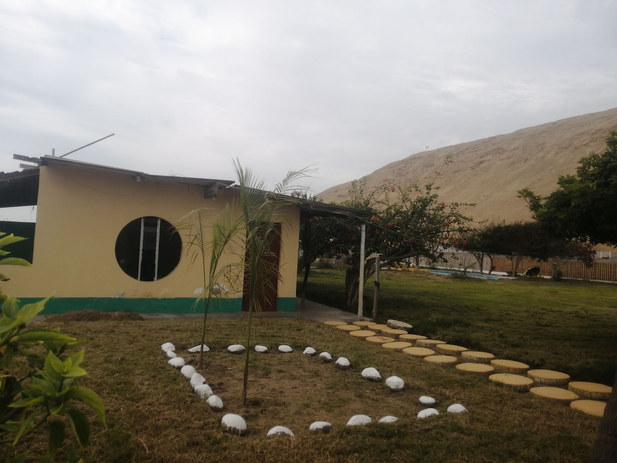 A garden space features a circular pathway outlined with white stones leading to a yellow house with a round window. Green grass surrounds the area, and a small palm tree adds a touch of greenery. A hillside is visible in the background.