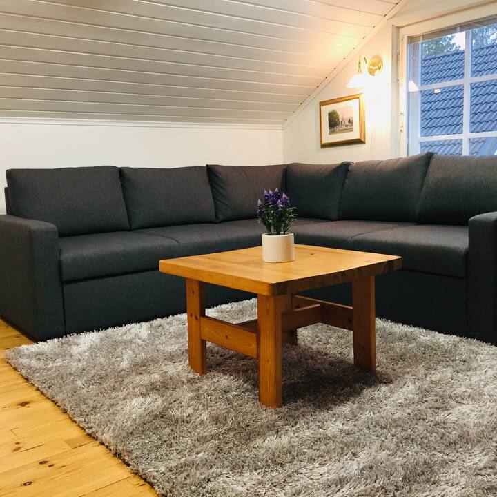 تطوي هذه الأريكة ويمكن أن تصبح سريرًا مزدوجًا. 