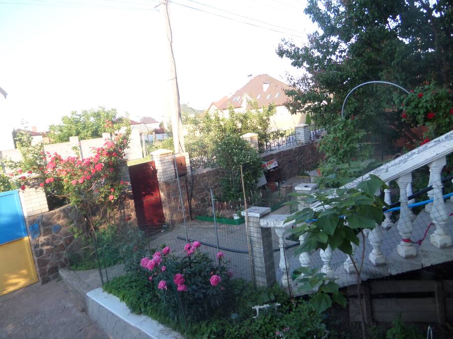 вид с балкона