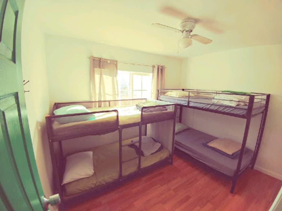 shared dorm rooms with free wifi throughout