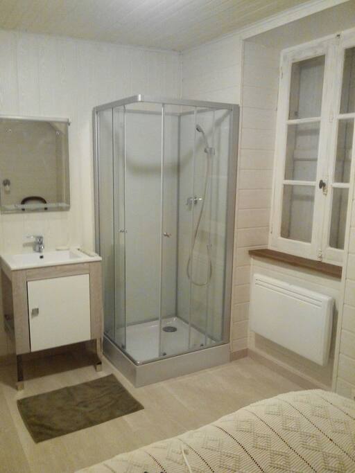 douche et lavabo dans la chambre