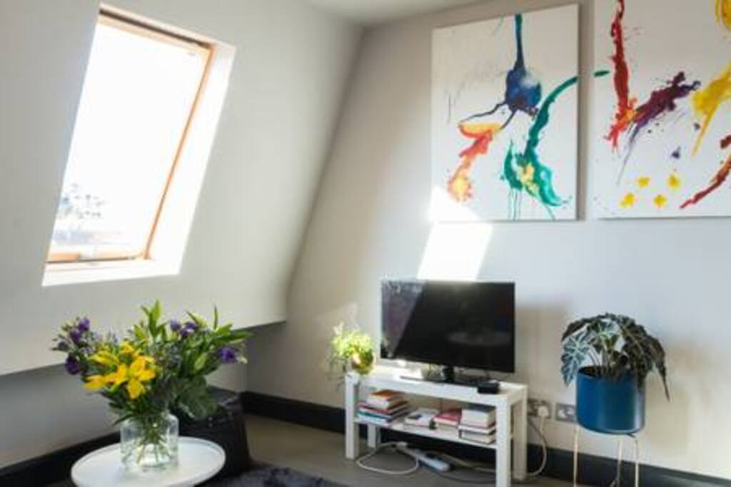 TV and some travel/art books for guests to browse and novels to takeaway.