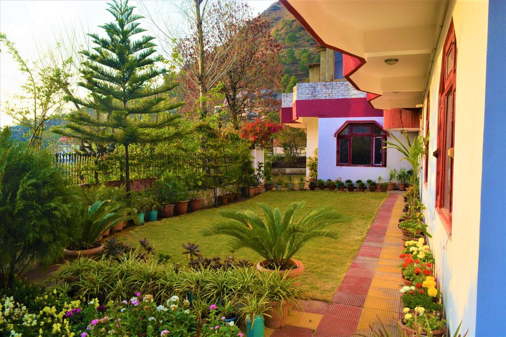 Dotted by many varieties of flora, a walk around the patio offers interesting sights for the florist and fresh air for everyone.