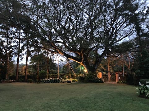 Mountain experience in total comfort