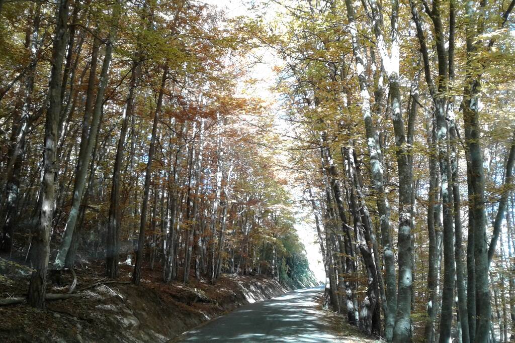 C'est l'automne....