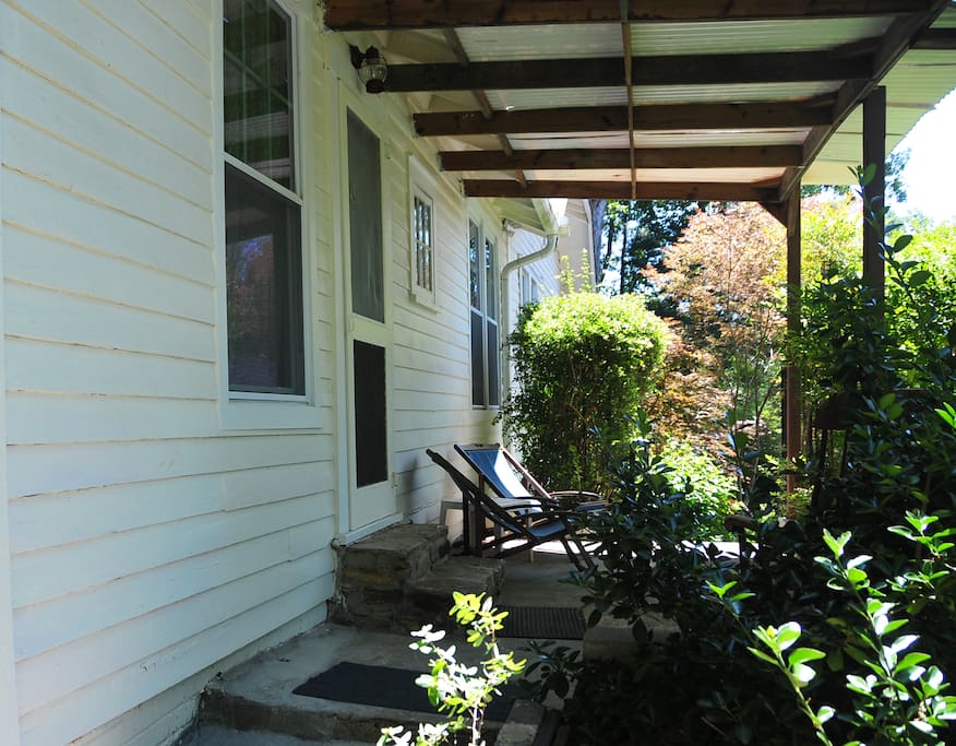 Relax here and watch a variety of birds hanging around!