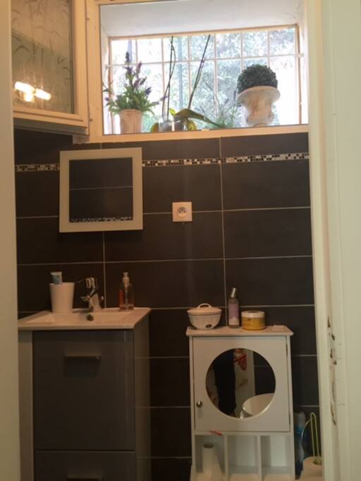 salle d'eau, WC