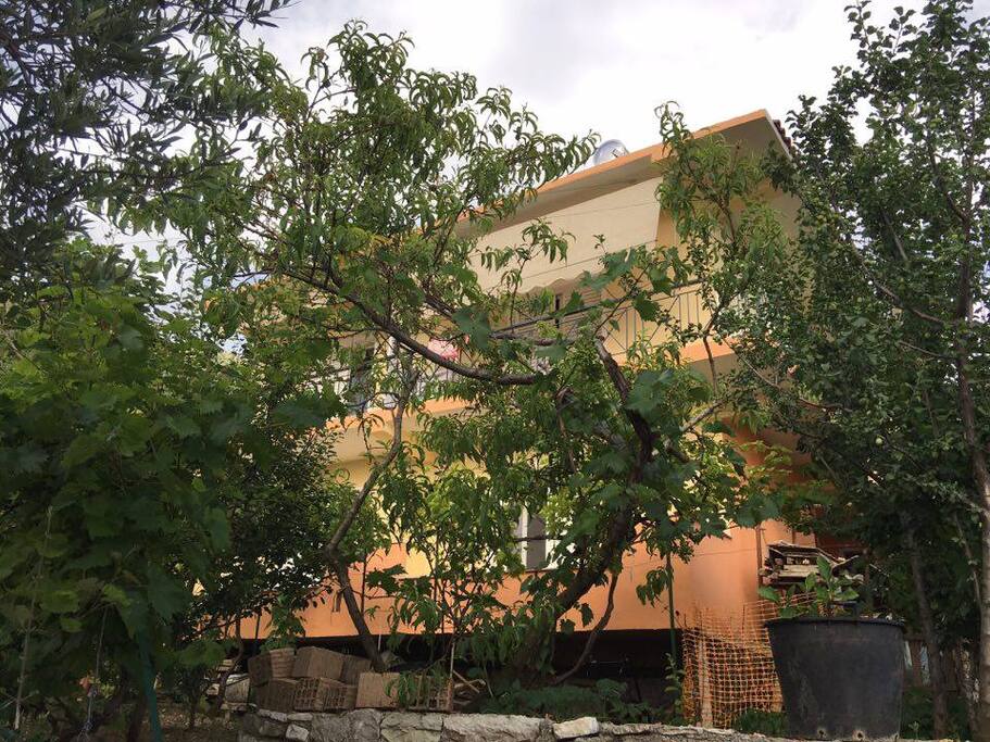 This is a 5 autonomic rooms place. Trees and fresh vegetables around.