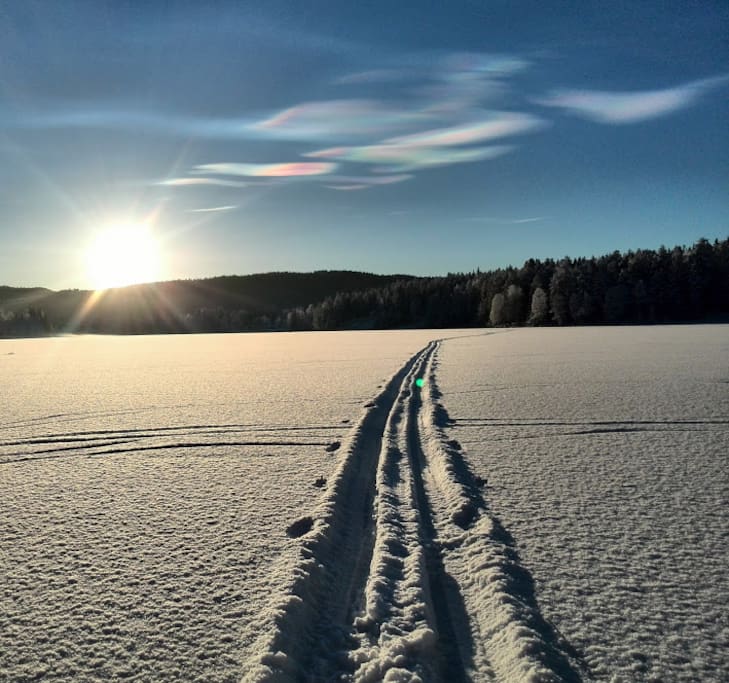 Lots of possibilities for cross country skiing from the cabin