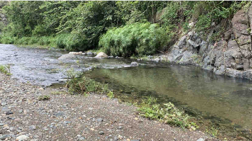 A tranquil river flows through a rocky bed, surrounded by dense greenery. Smooth stones line the water's edge, while lush vegetation provides a serene backdrop. The water is clear, reflecting the natural beauty of the area.
