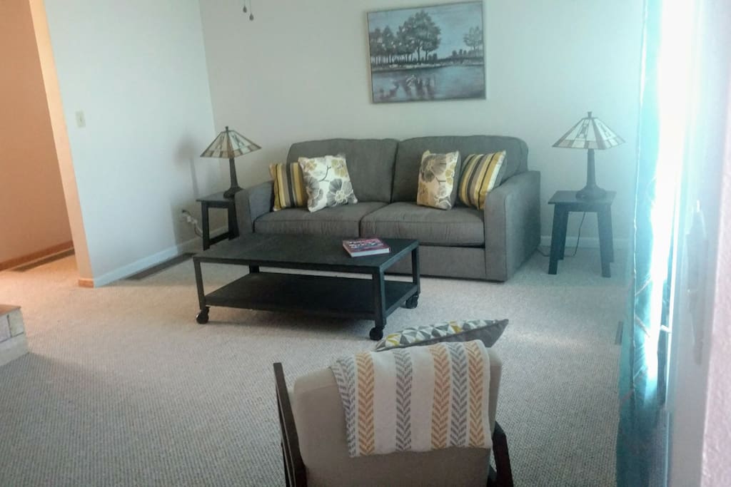 Main living room of the home. This couch converts into a queen sized bed.
