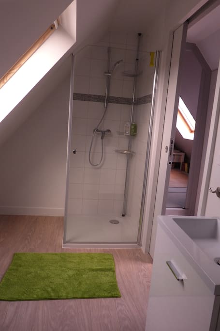 une petite SDB très claire avec douche, lavabo et toilettes (broyeur)