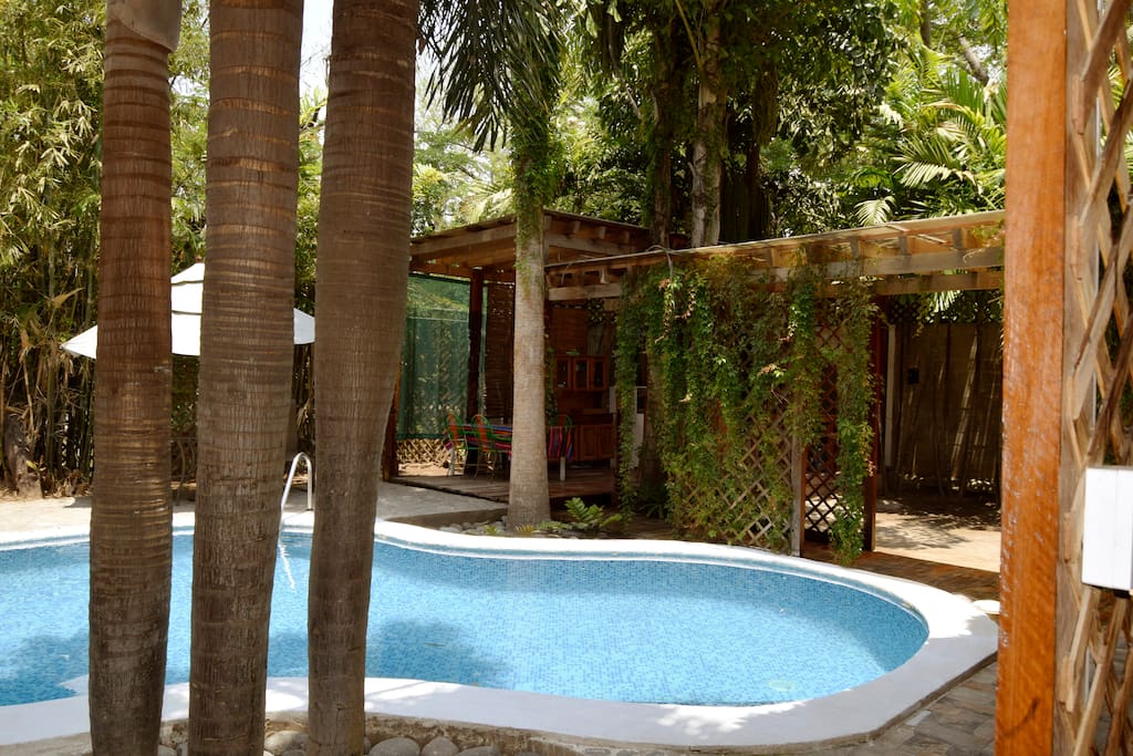 Our newly redone pool and garden area provides the perfect space to relax in the privacy of your own villa.