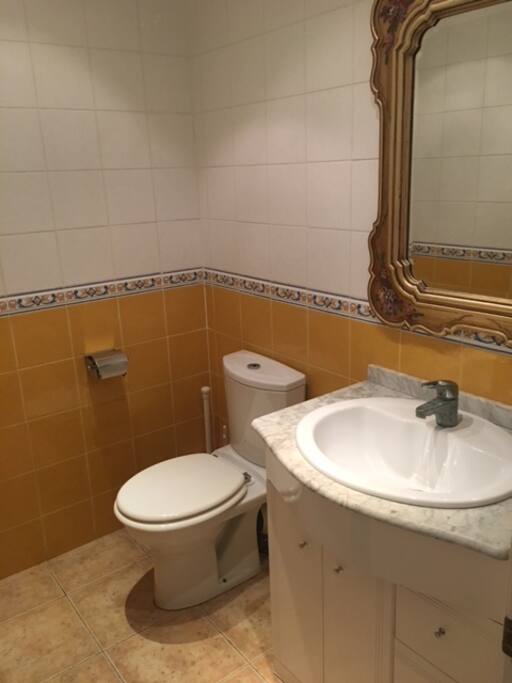 Ruim toilet met grote wastafel op de benedenverdieping